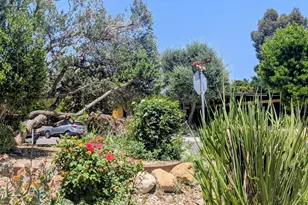 1509 Campbell Ave, Thousand Oaks, CA 91360 - Photo 44
