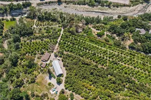 5682 Pine Grove Rd, Santa Paula, CA 93060 - Photo 6