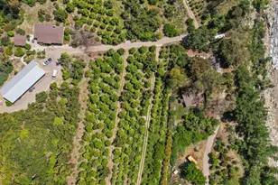 5682 Pine Grove Rd, Santa Paula, CA 93060 - Photo 8