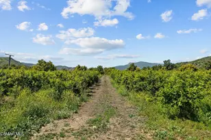 5682 Pine Grove Rd, Santa Paula, CA 93060 - Photo 46