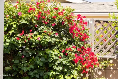 1294 Knollwood Drive, Newbury Park, CA 91320 - Photo 30