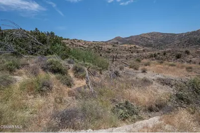  Big Springs Road Road, Agua Dulce, CA 91350 - Photo 36