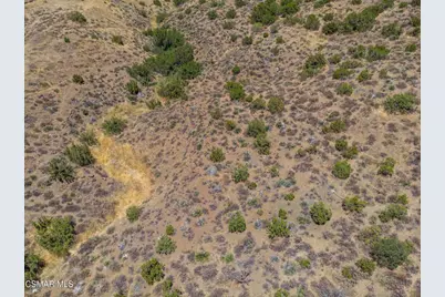  Big Springs Road Road, Agua Dulce, CA 91350 - Photo 8