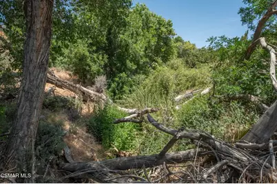  Big Springs Road Road, Agua Dulce, CA 91350 - Photo 24