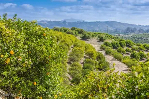 7169 Maria Dr, Moorpark, CA 93021 - Photo 46