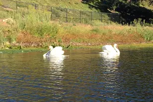1784 Yarnton St, Lake Sherwood, CA 91361 - Photo 4