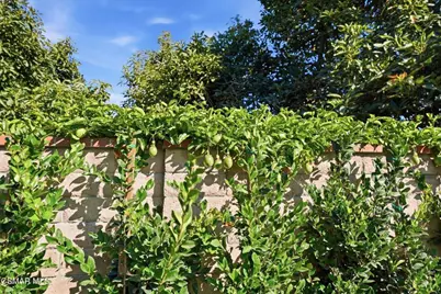 280 Cummings Road, Santa Paula, CA 93060 - Photo 44