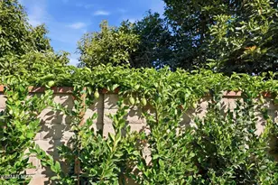 280 Cummings Rd, Santa Paula, CA 93060 - Photo 44
