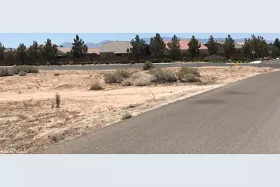 0 Tussing Ranch Road, Apple Valley, CA 92308 - Photo 4