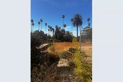 1201 E Altadena Drive, Altadena, CA 91001 - Photo 6