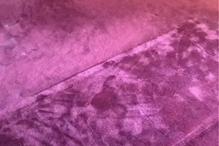 792 Portola, Los Angeles, CA 90042 - Photo 6