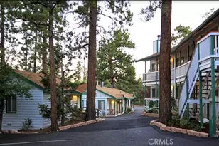 40241 Big Bear, Big Bear Lake, CA 92315 - Photo 2
