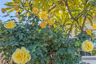 18002 E Fondale, Azusa, CA 91702 - Photo 38