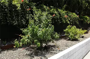 601 Casa Blanca, Fullerton, CA 92832 - Photo 24