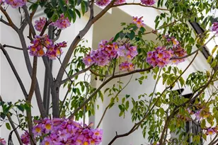 21026 E Cypress St, Covina, CA 91724 - Photo 4