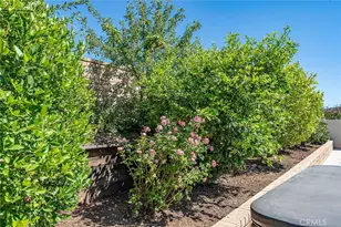 35530 Birchbrook, Winchester, CA 92596 - Photo 50