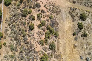 33320 Kingbird Way, Acton, CA 93510 - Photo 36