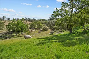 29570 Butterfield, Tehachapi, CA 93561 - Photo 44