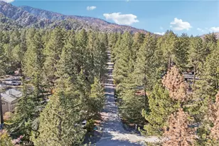 1847 Thrush Rd, Wrightwood, CA 92397 - Photo 28
