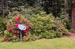 19701 Noyo Acres Dr, Fort Bragg, CA 95437 - Photo 34