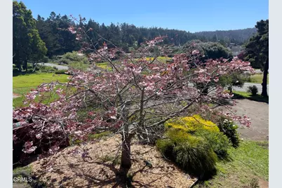 44920 Little Lake Road, Mendocino, CA 95460 - Photo 8