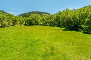 3901 Canyon Rd, Willits, CA 95490 - Photo 18