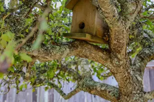 31600 Little Valley Rd, Fort Bragg, CA 95437 - Photo 42