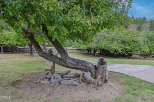 31600 Little Valley Rd, Fort Bragg, CA 95437 - Photo 36