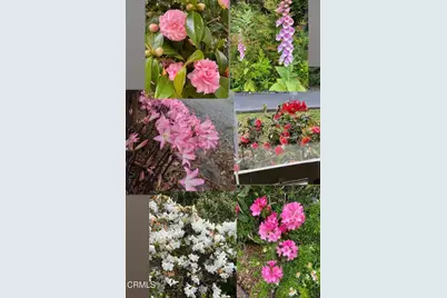 31400 Sherwood Road, Fort Bragg, CA 95437 - Photo 10