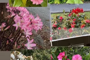 31400 Sherwood Rd, Fort Bragg, CA 95437 - Photo 10