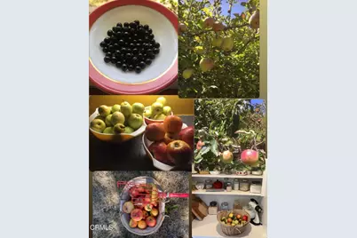 31400 Sherwood Road, Fort Bragg, CA 95437 - Photo 8