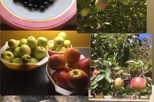 31400 Sherwood Rd, Fort Bragg, CA 95437 - Photo 8