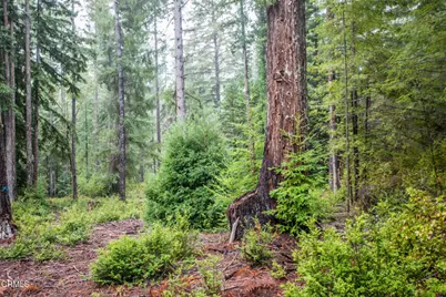 11091 Irmulco Road, Willits, CA 95490 - Photo 30