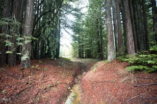 11091 Irmulco Rd, Willits, CA 95490 - Photo 38