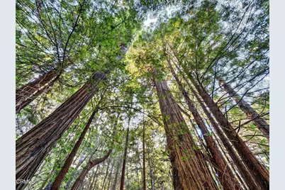 19400 Dorffi Road, Fort Bragg, CA 95437 - Photo 46