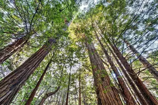 19400 Dorffi Rd, Fort Bragg, CA 95437 - Photo 46