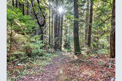 19400 Dorffi Road, Fort Bragg, CA 95437 - Photo 36