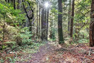 19400 Dorffi Rd, Fort Bragg, CA 95437 - Photo 36