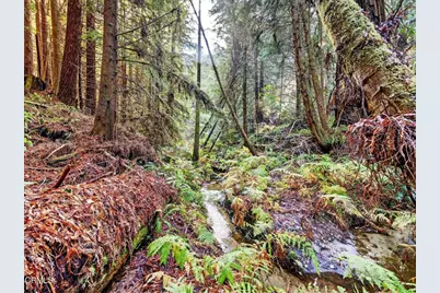 19400 Dorffi Road, Fort Bragg, CA 95437 - Photo 2