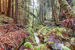 19400 Dorffi Rd, Fort Bragg, CA 95437 - Photo 2