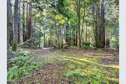 19400 Dorffi Road, Fort Bragg, CA 95437 - Photo 42