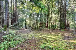19400 Dorffi Rd, Fort Bragg, CA 95437 - Photo 42