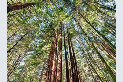 19400 Dorffi Road, Fort Bragg, CA 95437 - Photo 38