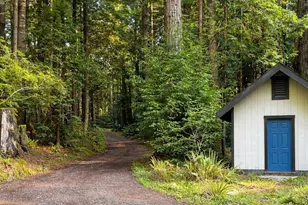 19400 Dorffi Rd, Fort Bragg, CA 95437 - Photo 34