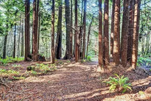 19400 Dorffi Rd, Fort Bragg, CA 95437 - Photo 38