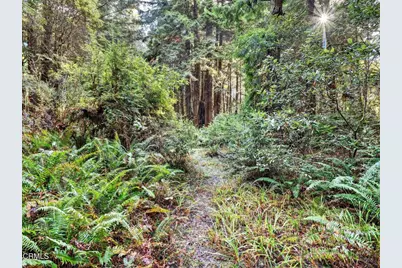 19400 Dorffi Road, Fort Bragg, CA 95437 - Photo 36