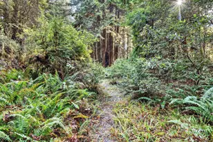 19400 Dorffi Rd, Fort Bragg, CA 95437 - Photo 36