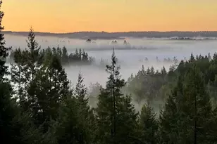 40401 Little River-Airport Rd, Little River, CA 95456 - Photo 50