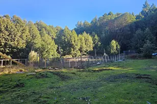 27651 Skyview Rd, Willits, CA 95490 - Photo 4