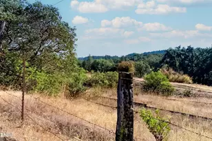 18300 Walker Rd, Willits, CA 95490 - Photo 10